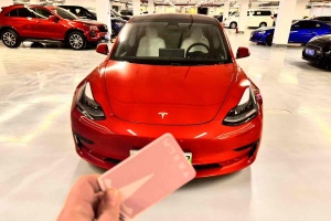 Model 3 特斯拉 標(biāo)準(zhǔn)續(xù)航后驅(qū)升級(jí)版