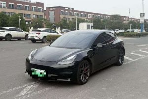 Model 3 特斯拉 改款 Performance高性能全輪驅(qū)動(dòng)版