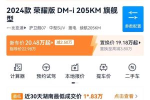 凱翼昆侖 凱翼 昆侖 300 高原版