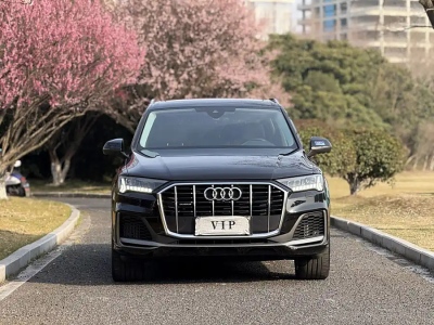 2023年2月 奧迪 奧迪Q7(進(jìn)口) 55 TFSI quattro S line冰雪運動版圖片