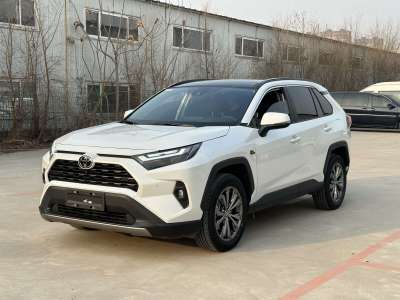 2023年11月 豐田 RAV4榮放 2.0L CVT兩驅(qū)20周年鉑金紀(jì)念版圖片