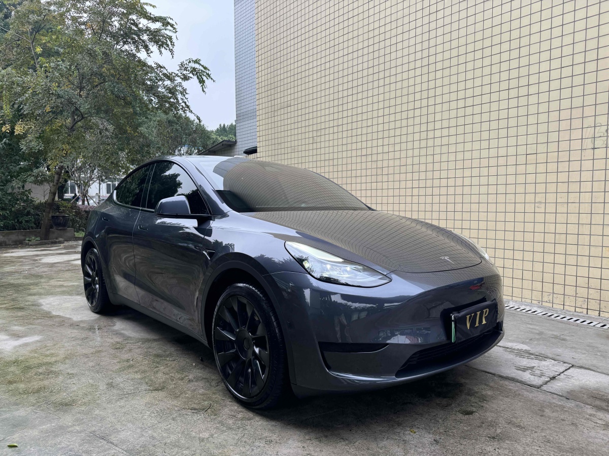 特斯拉 Model 3  2020款 改款 長續(xù)航后輪驅(qū)動版圖片