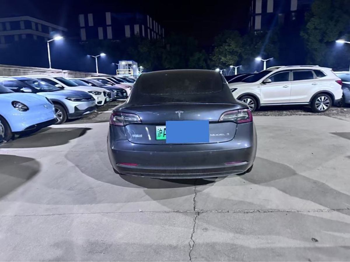 特斯拉 Model 3  2020款 改款 標(biāo)準(zhǔn)續(xù)航后驅(qū)升級版圖片