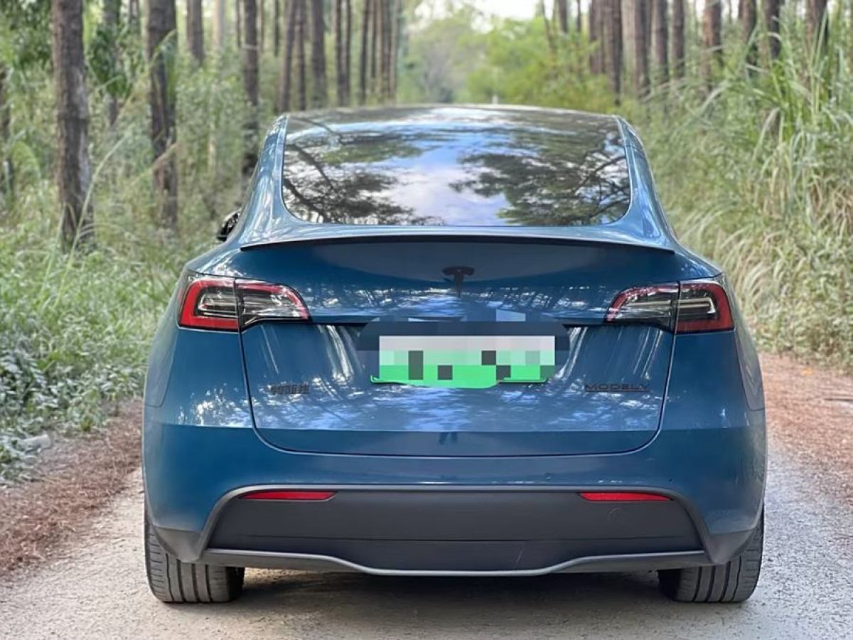 特斯拉 Model Y  2022款 后輪驅(qū)動版圖片