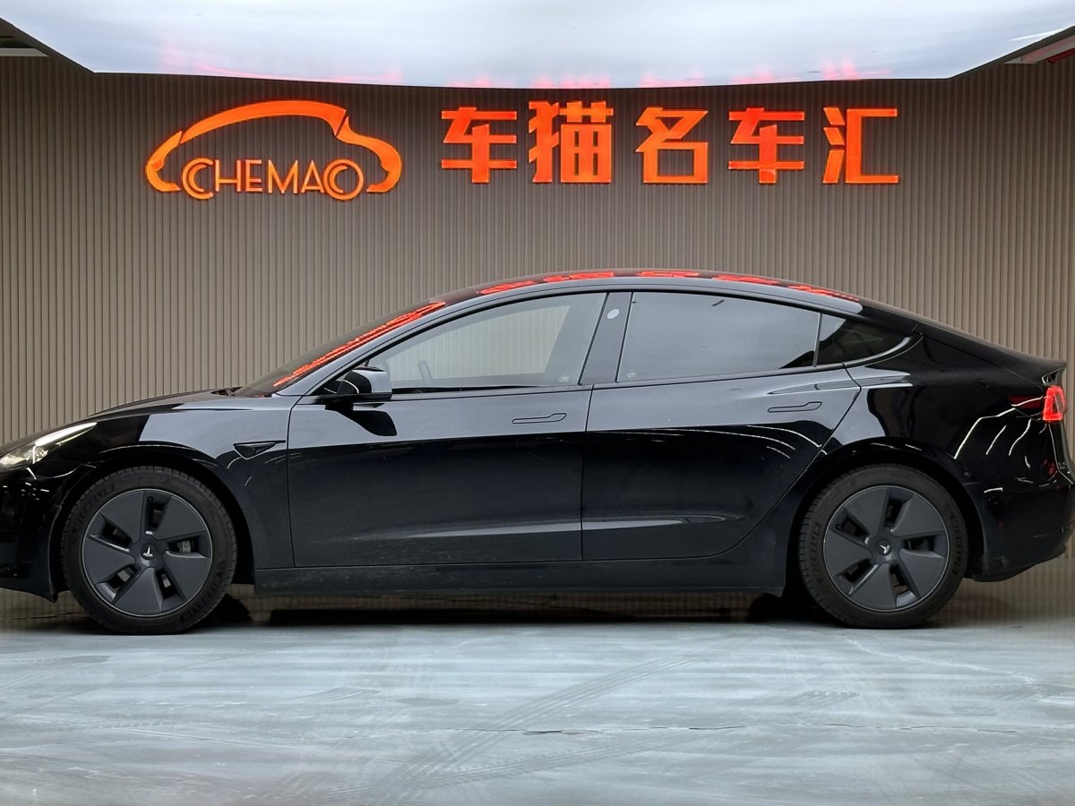 特斯拉 Model 3  2019款 標(biāo)準(zhǔn)續(xù)航后驅(qū)升級版圖片