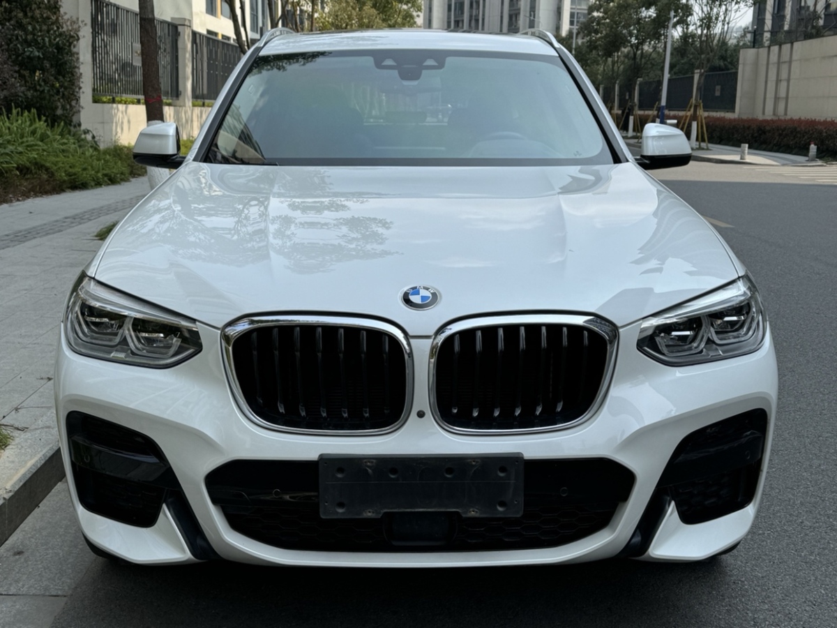 寶馬 寶馬X3  2020款 xDrive30i 領(lǐng)先型 M運(yùn)動(dòng)套裝圖片