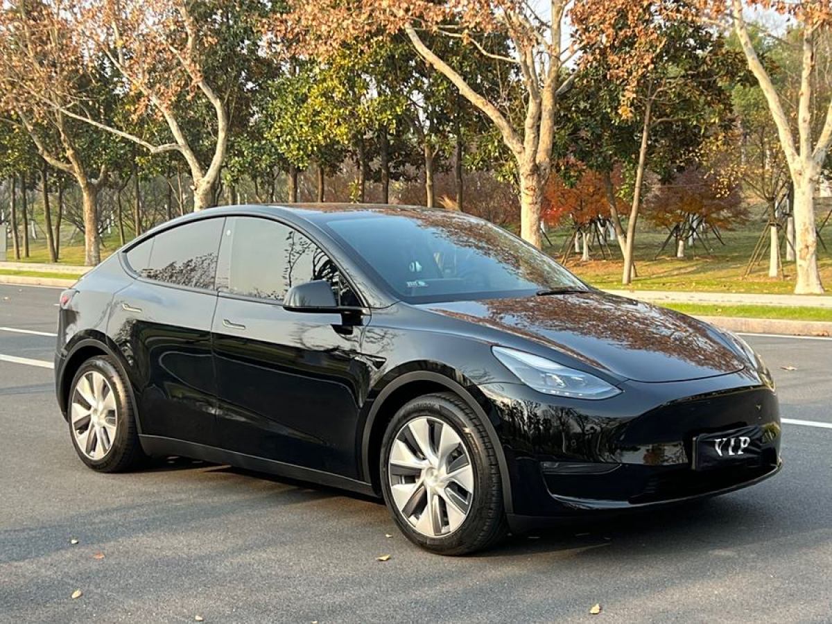 2021年11月特斯拉 Model 3  2021款 改款 標準續(xù)航后驅(qū)升級版