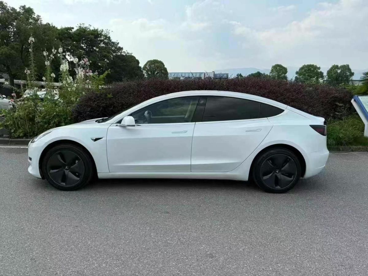 特斯拉 Model X  2020款 Performance 高性能版圖片