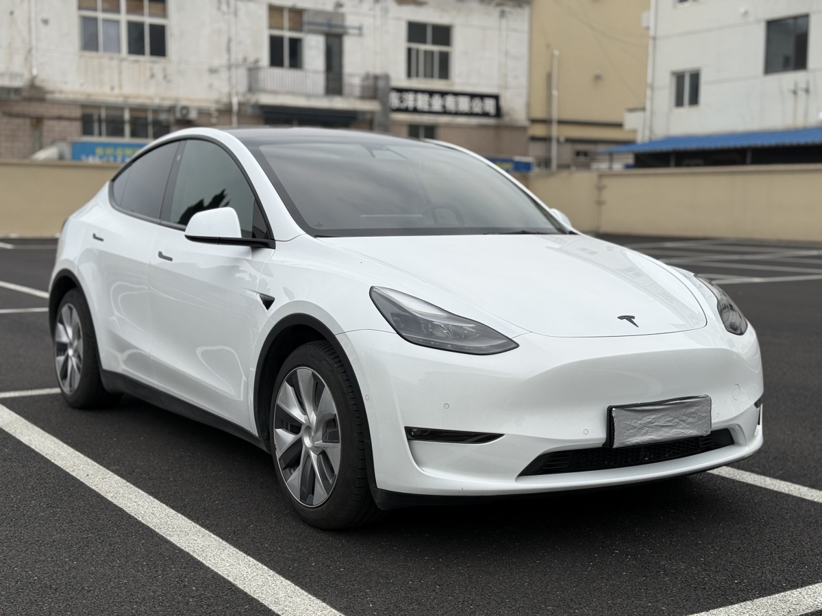 特斯拉 Model Y  2021款 標(biāo)準(zhǔn)續(xù)航后驅(qū)版圖片