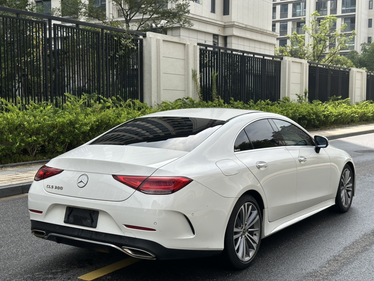 奔馳 奔馳CLS級(jí)  2020款 CLS 300 豪華型圖片