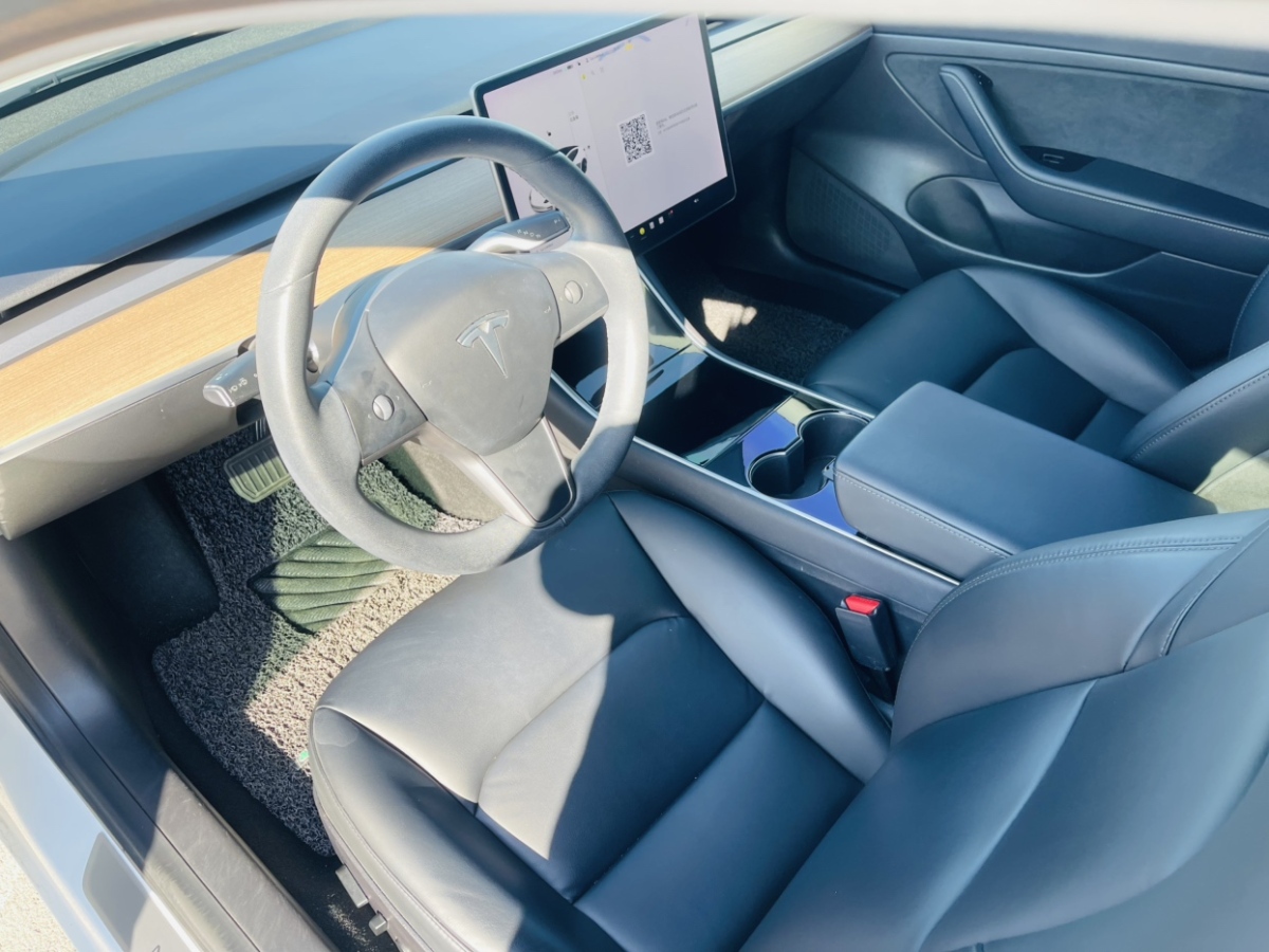 特斯拉 Model 3  2019款 標(biāo)準(zhǔn)續(xù)航后驅(qū)升級(jí)版圖片