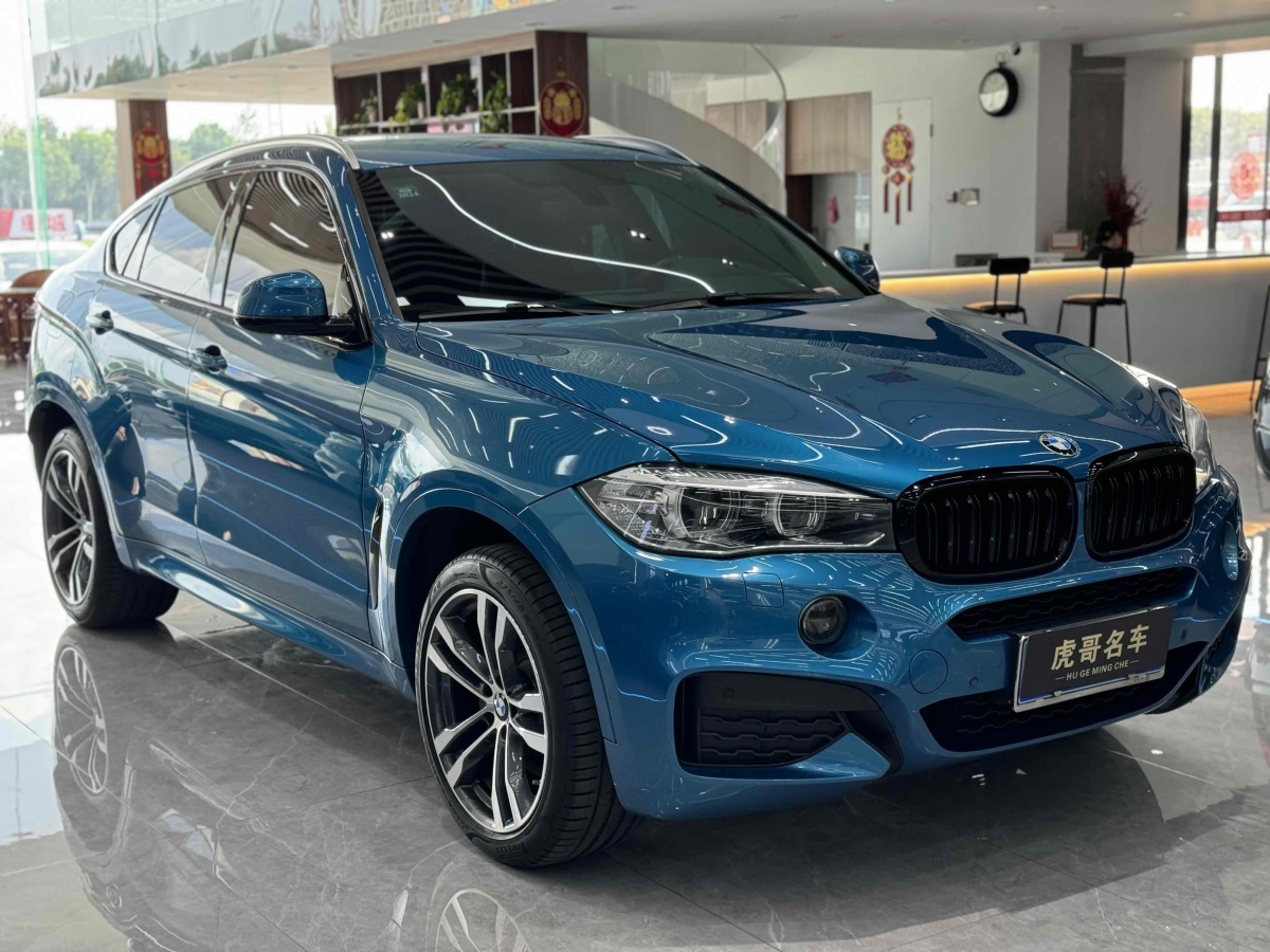 宝马 宝马X6  2018款 xDrive35i 领先型图片