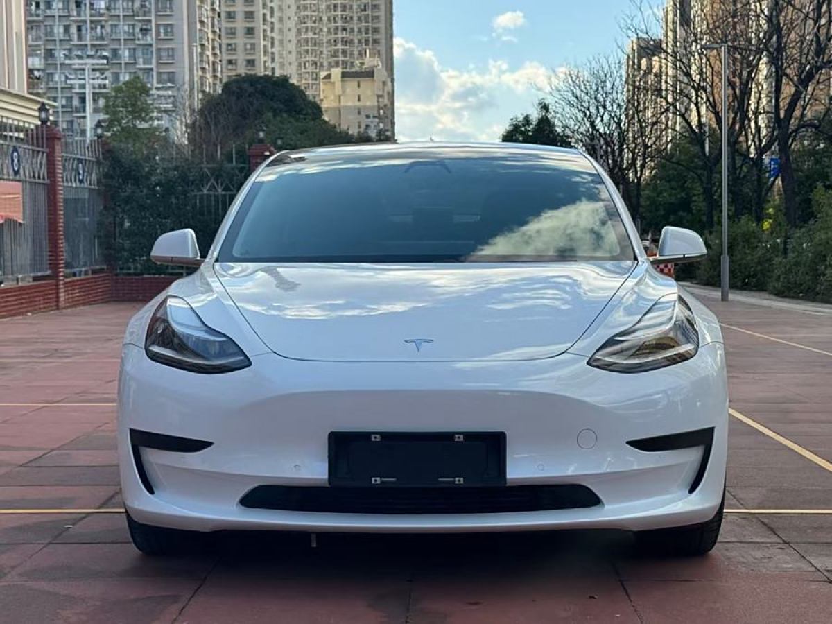 特斯拉 Model 3  2020款 改款 標(biāo)準(zhǔn)續(xù)航后驅(qū)升級(jí)版圖片