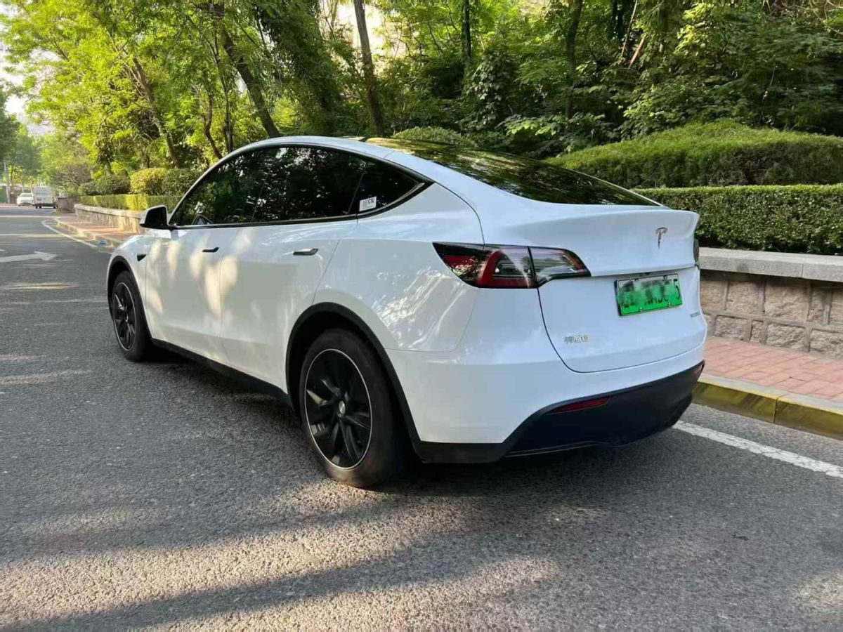 特斯拉 Model Y  2024款 Performance高性能版圖片