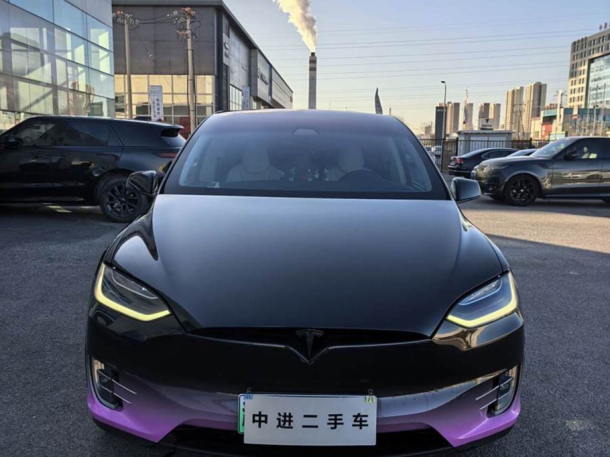 特斯拉 Model X  2019款 長續(xù)航版圖片