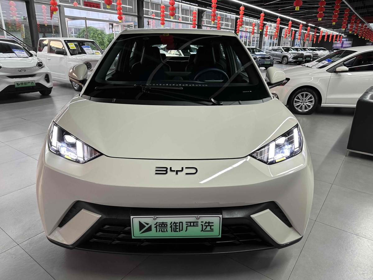 比亞迪 海鷗  2024款 榮耀版 405km 飛翔版圖片