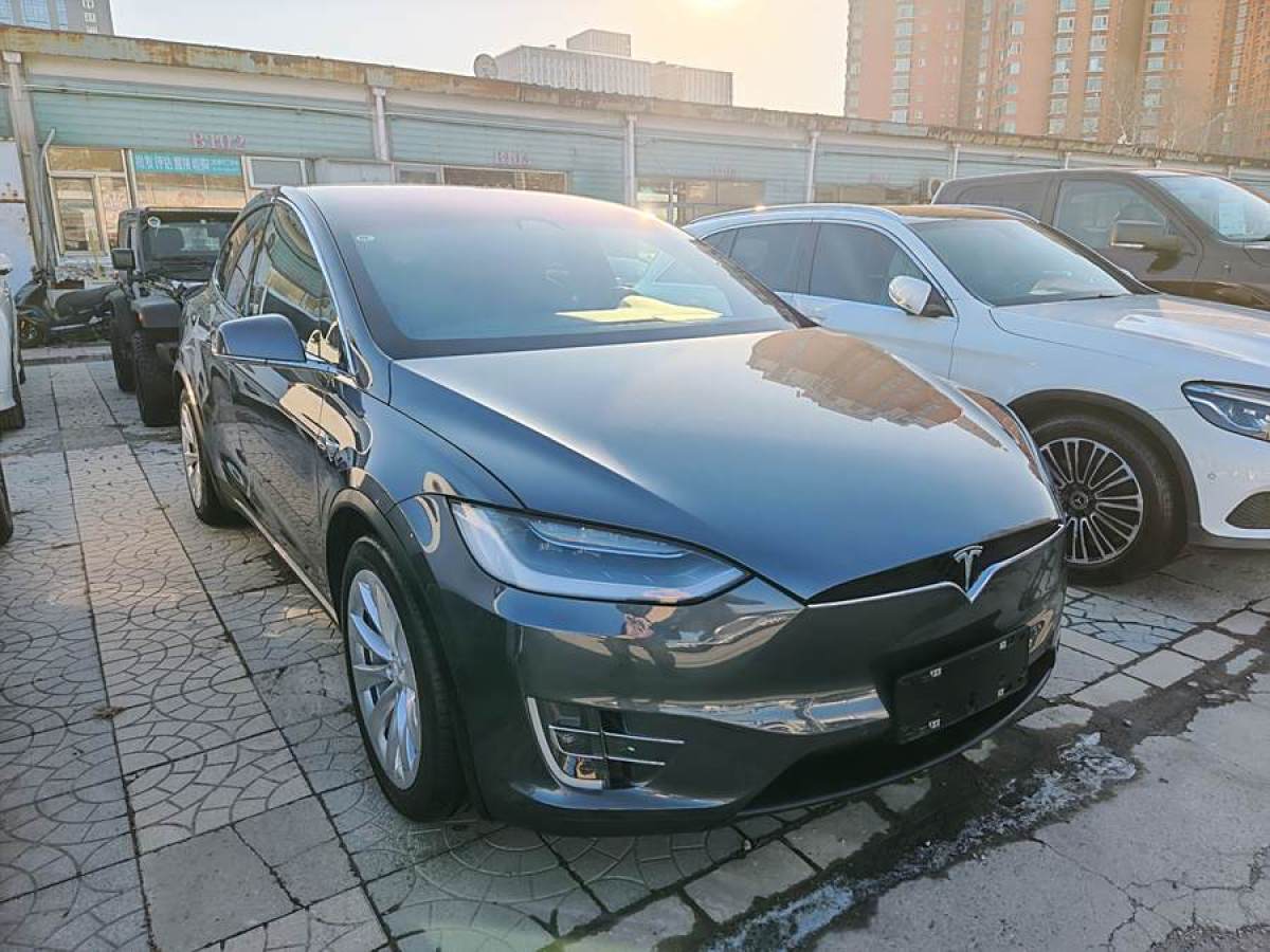 特斯拉 Model X  2017款 Model X 100D 長續(xù)航版圖片