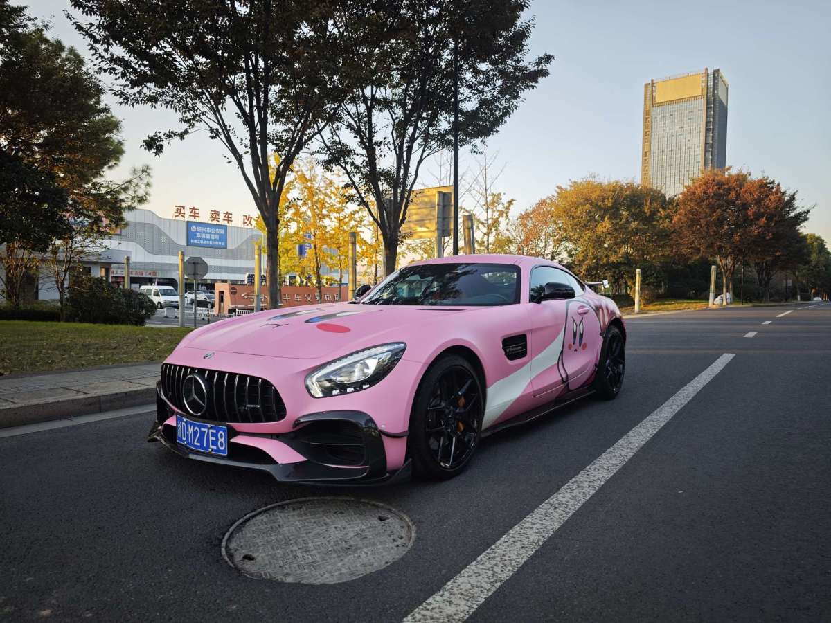 奔馳 奔馳AMG GT  2019款 AMG GT圖片