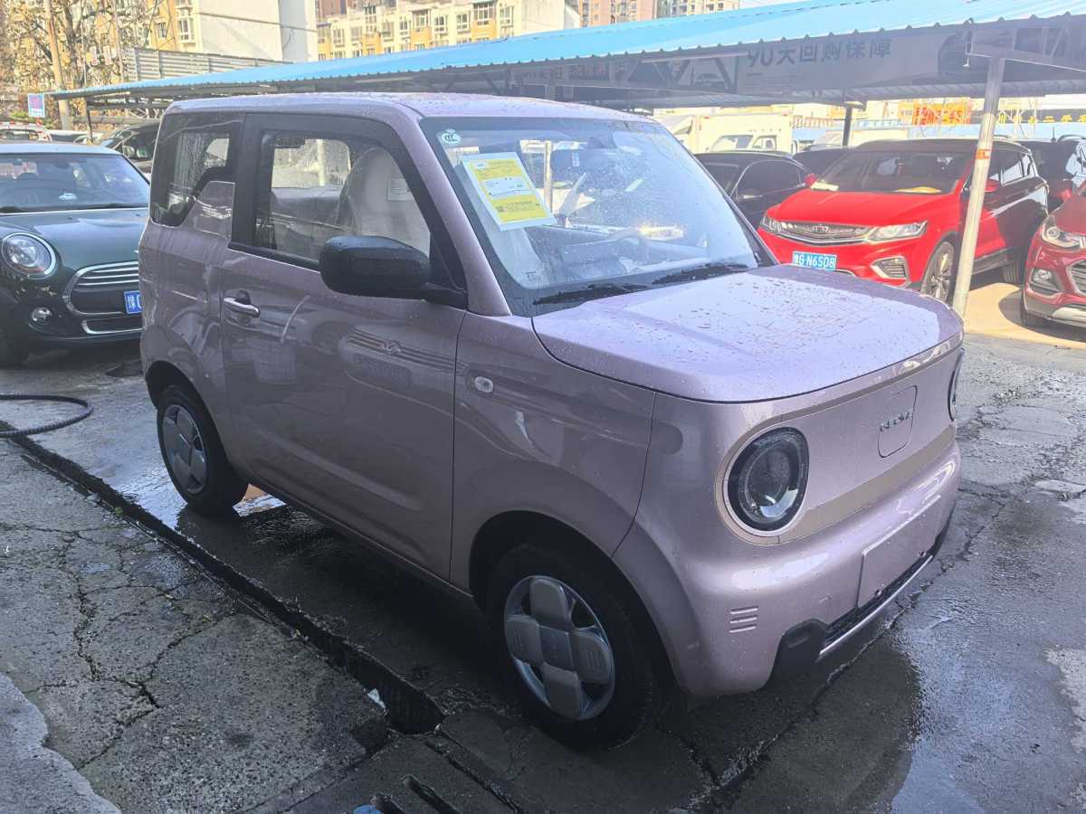 吉利 熊貓mini  2023款 200km 耐力熊圖片