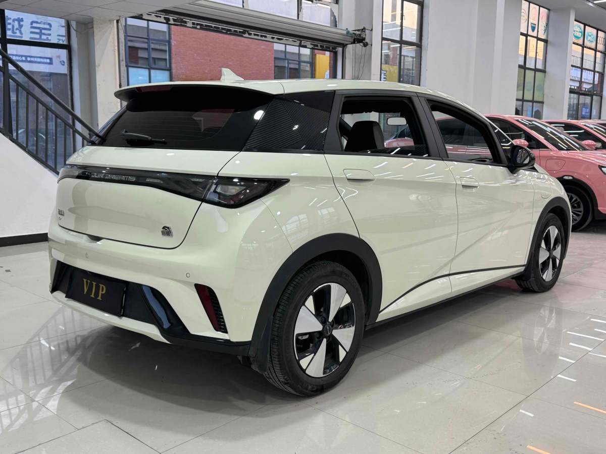 比亞迪 海豚  2023款 420km 自由版圖片