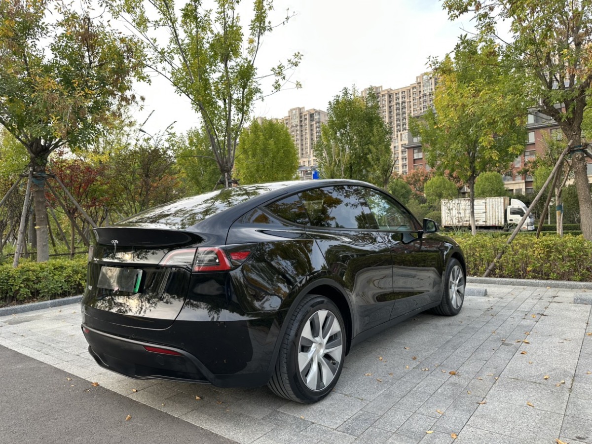 特斯拉 Model Y  2021款 改款 標(biāo)準(zhǔn)續(xù)航后驅(qū)升級(jí)版圖片