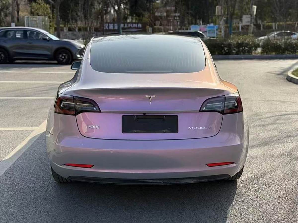 特斯拉 Model 3  2019款 標(biāo)準(zhǔn)續(xù)航后驅(qū)升級(jí)版圖片