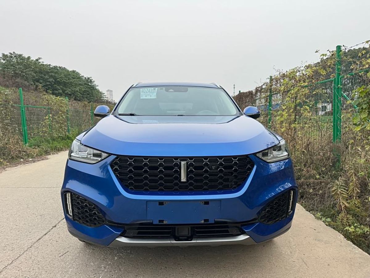 WEY VV5  2019款  升級(jí)款 2.0T 兩驅(qū)超豪型 國VI圖片