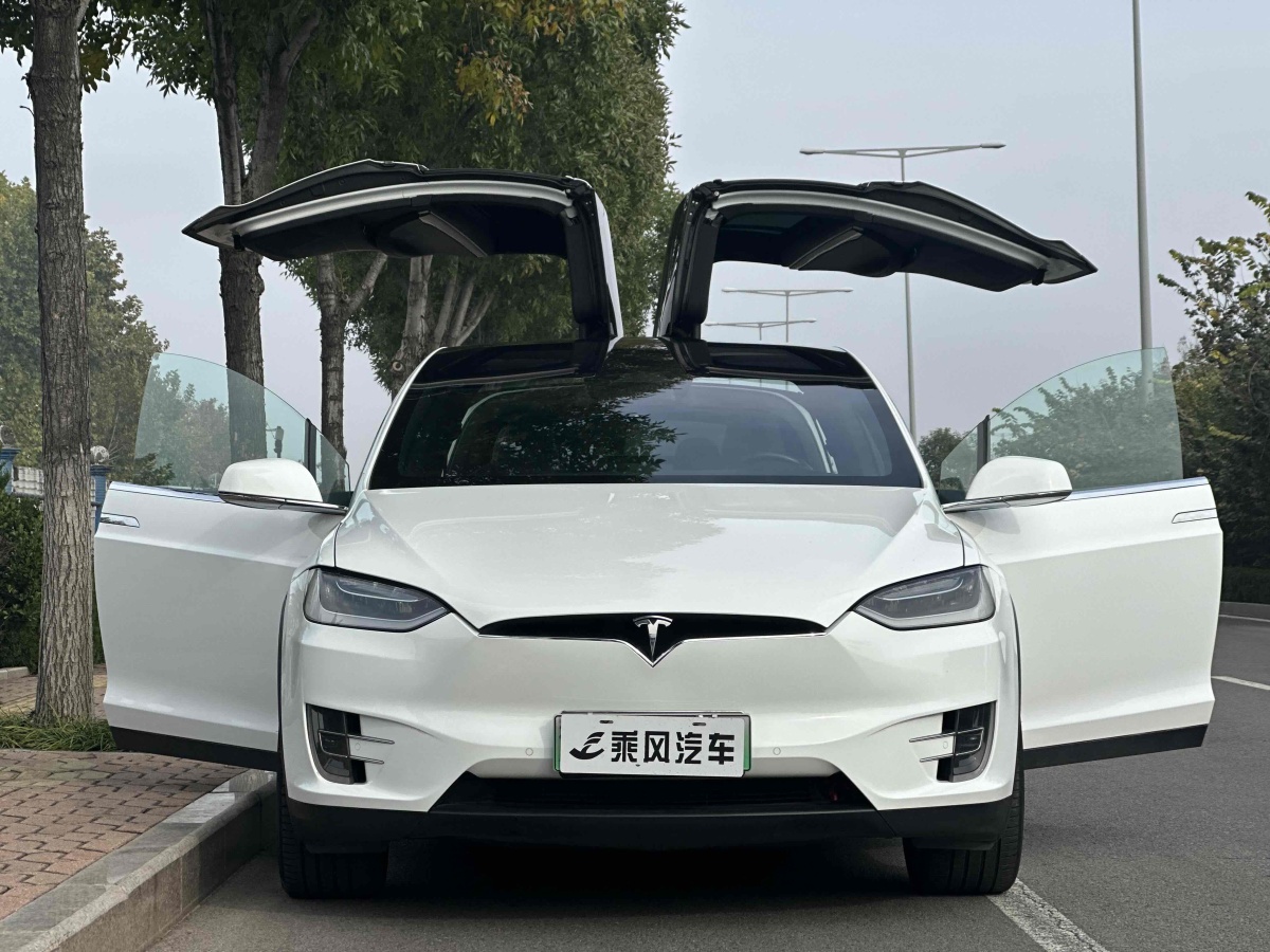 特斯拉 Model X  2016款 Model X 60D圖片