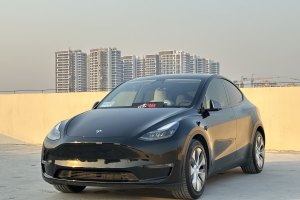 Model 3 特斯拉 改款 標(biāo)準(zhǔn)續(xù)航后驅(qū)升級版