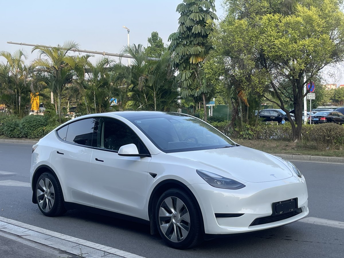 特斯拉 Model Y  2022款 后輪驅(qū)動版圖片