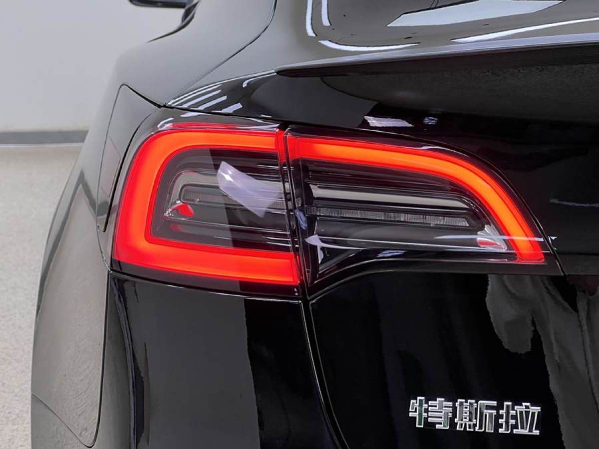 特斯拉 Model 3  2019款 Performance高性能全輪驅(qū)動(dòng)版圖片