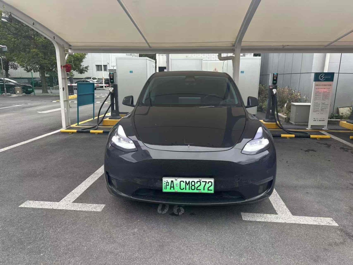 特斯拉 Model 3  2021款 長(zhǎng)續(xù)航全輪驅(qū)動(dòng)版 3D7圖片