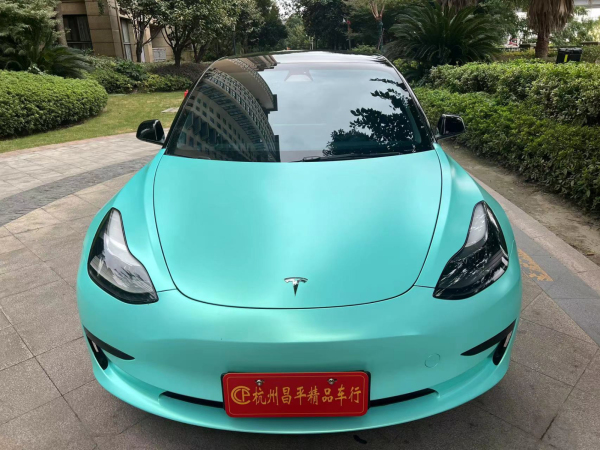 特斯拉Model 3 2021款 改款 标准续航后驱升级版 3D1