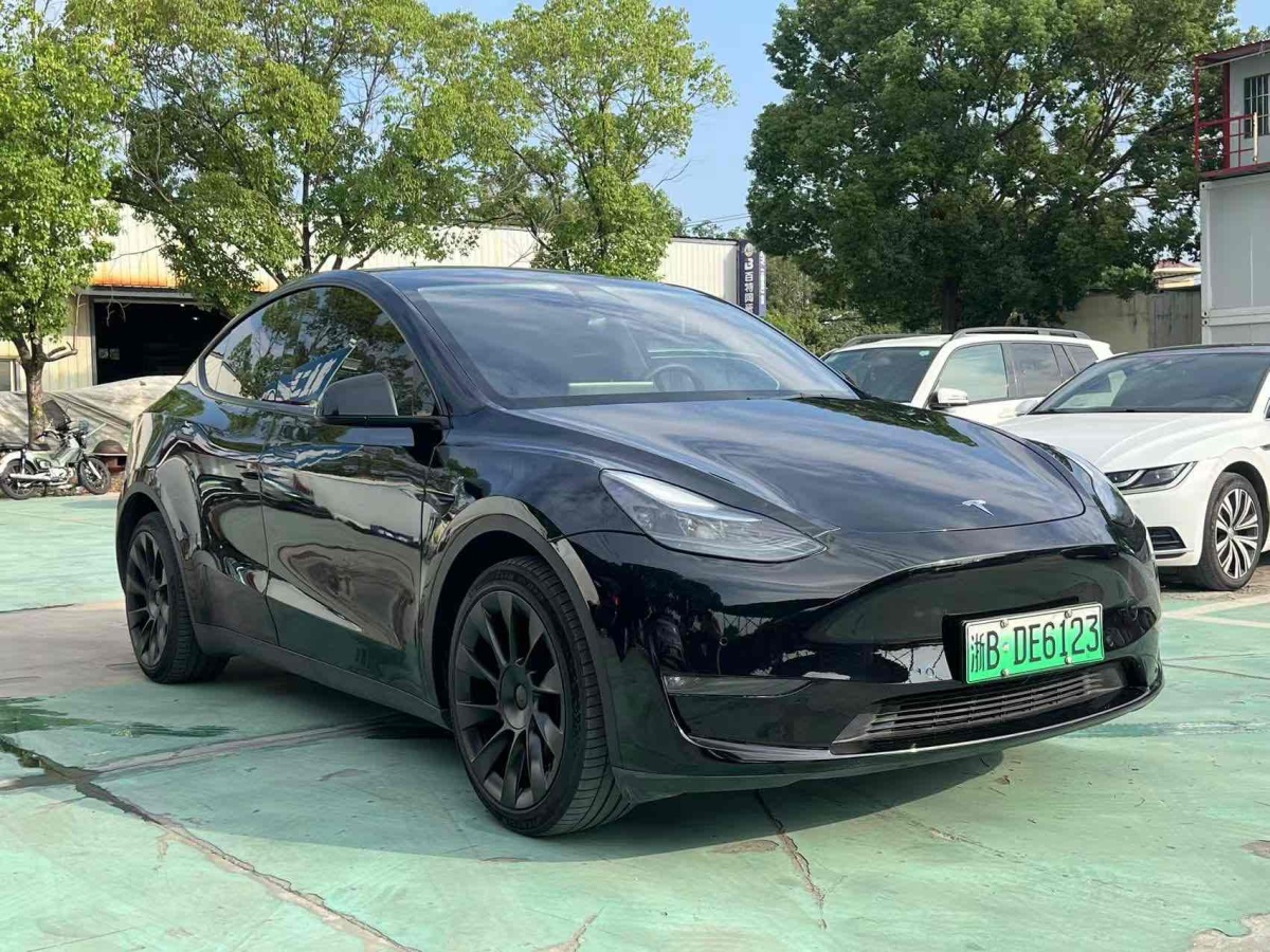 特斯拉 Model Y  2021款 改款 Performance高性能全輪驅動版圖片