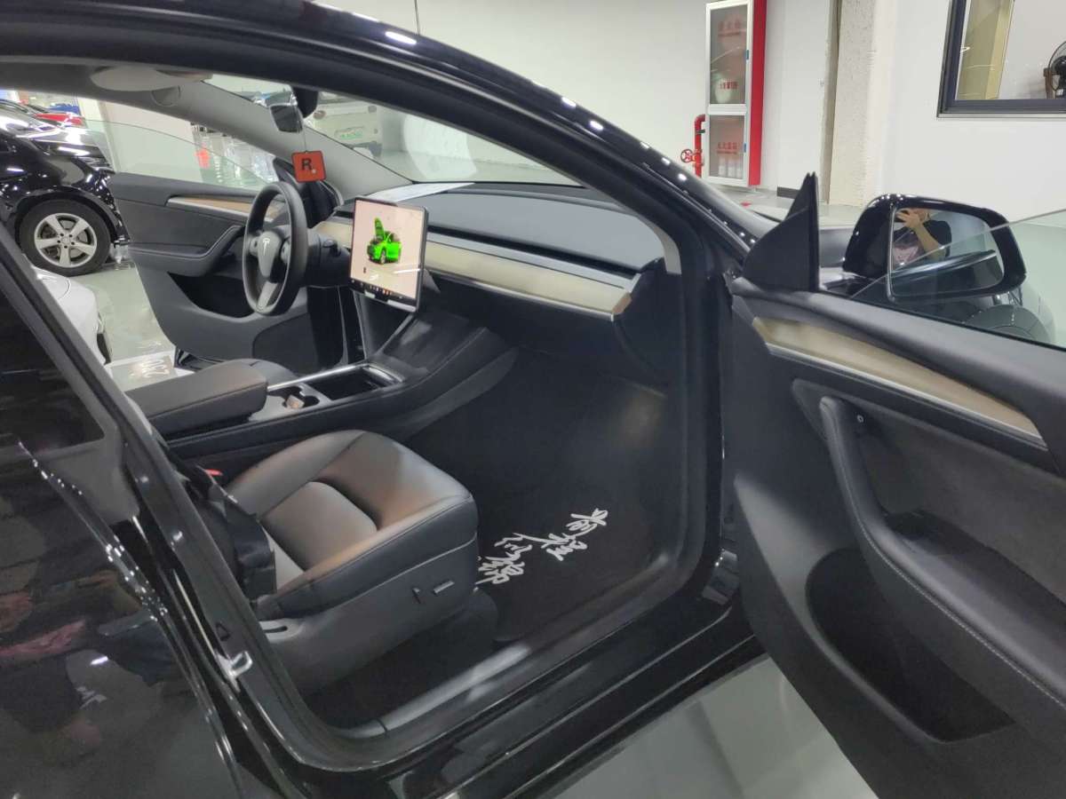 特斯拉 Model Y  2021款 標(biāo)準(zhǔn)續(xù)航后驅(qū)升級版 3D6圖片