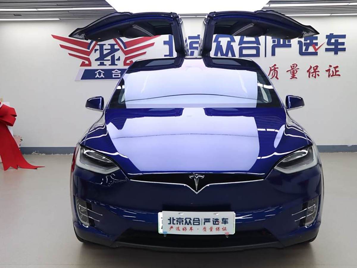 特斯拉 Model X  2016款 Model X 75D圖片