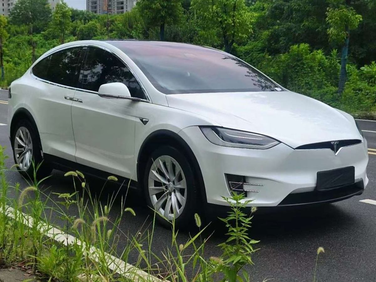 特斯拉 Model X  2017款 Model X 100D 長續(xù)航版圖片