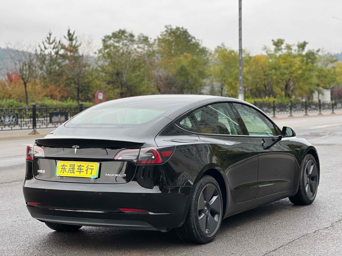 特斯拉 Model 3  2019款 標準續(xù)航后驅(qū)升級版圖片