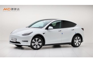 Model Y 特斯拉 長續(xù)航全輪驅(qū)動版 3D7