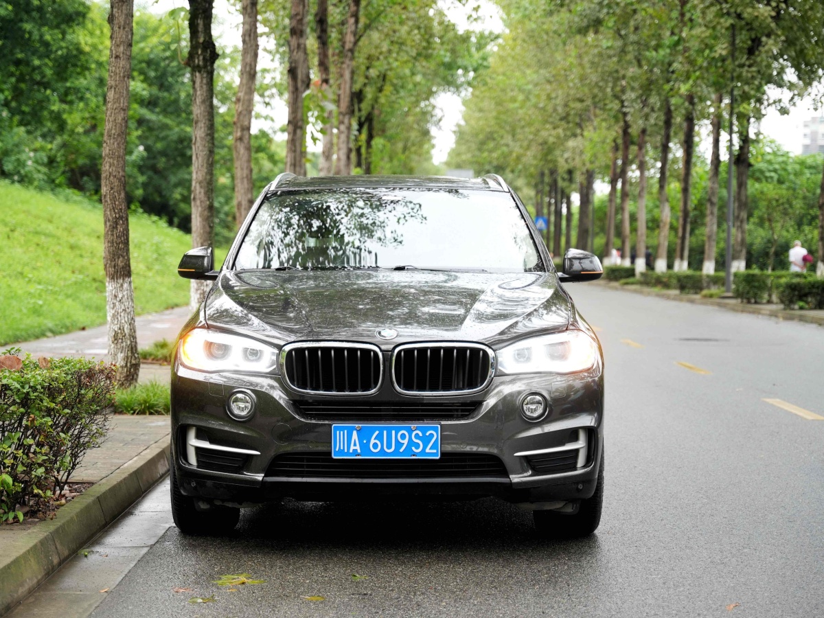 寶馬 寶馬X5  2014款 xDrive35i 領(lǐng)先型圖片