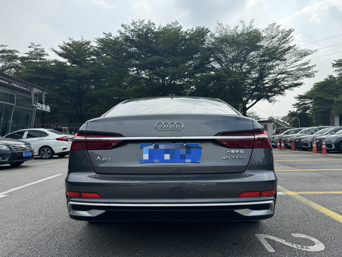 2023年11月奧迪 奧迪A6L  2023款 改款 45 TFSI 臻選致雅型