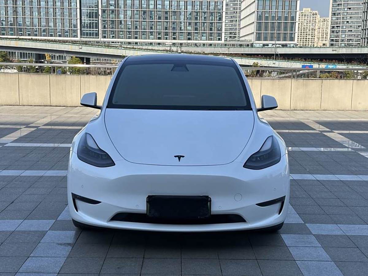 特斯拉 Model Y  2021款 改款 長續(xù)航全輪驅(qū)動版圖片