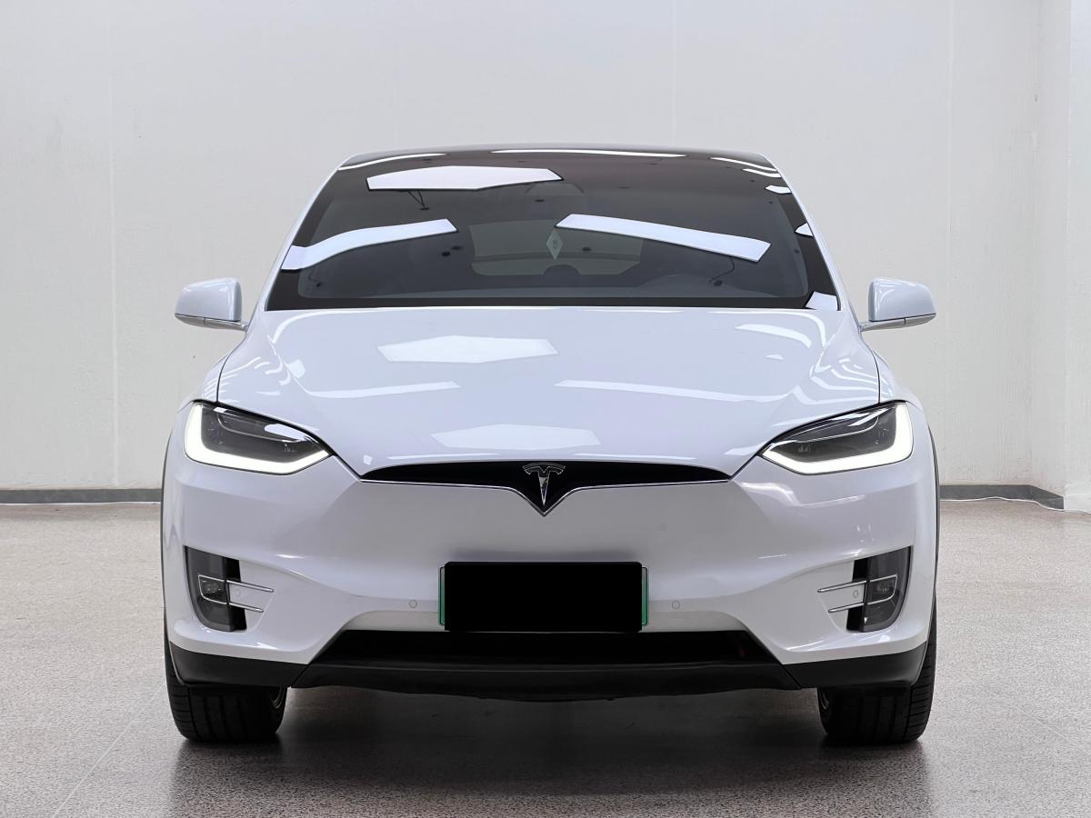 2019年3月特斯拉 Model X  2017款 Model X 100D 長續(xù)航版