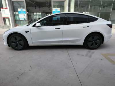 2021年3月 特斯拉 Model 3 標(biāo)準(zhǔn)續(xù)航后驅(qū)升級版圖片