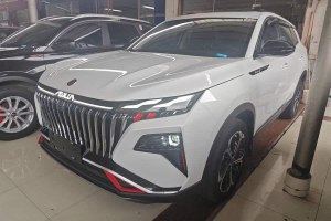 皓極 東風(fēng)風(fēng)神 馬赫動(dòng)力 1.5T 豪華型