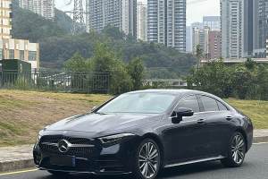 奔驰CLS级 奔驰 CLS 300 动感型