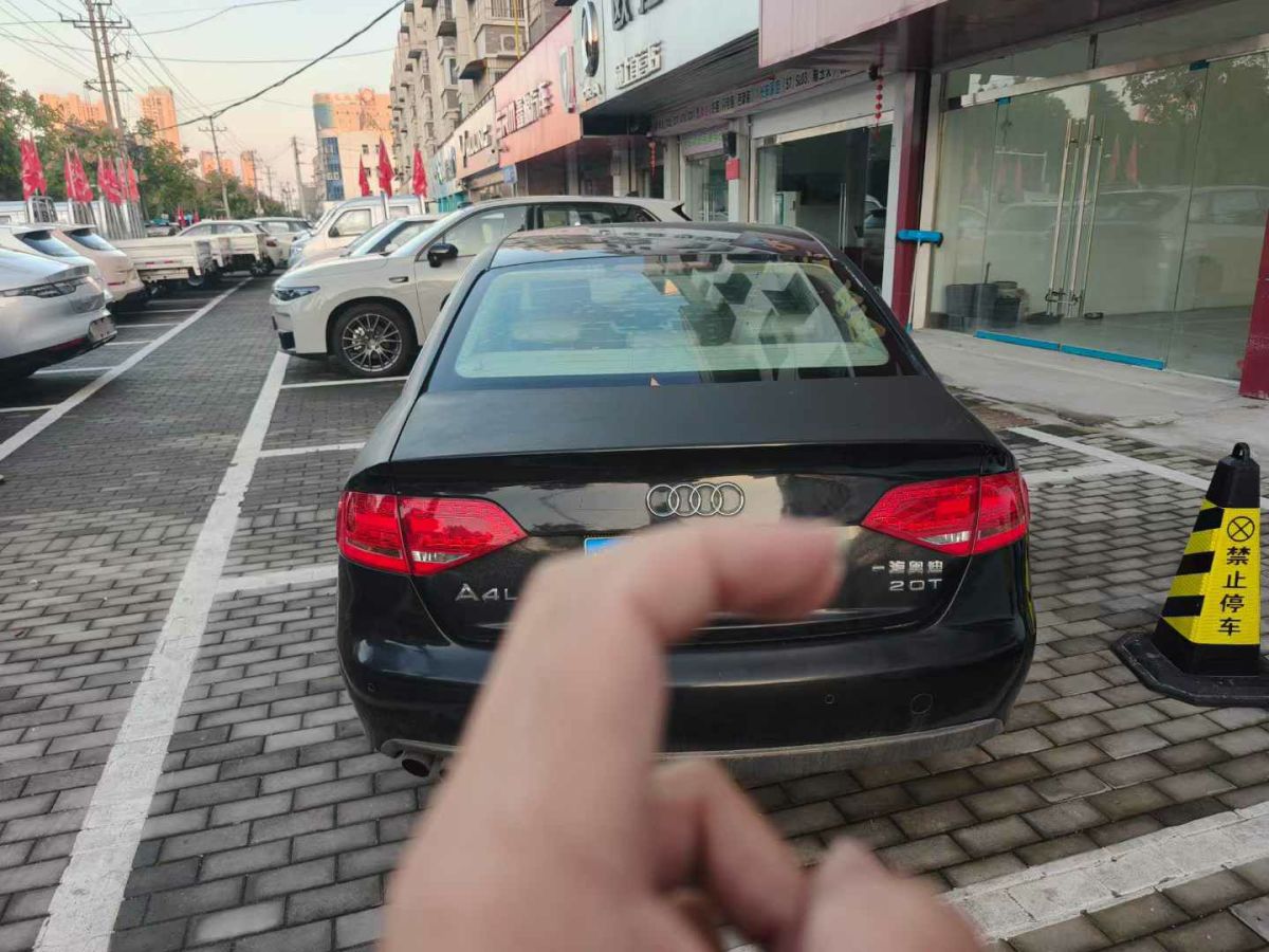 2010年1月奧迪 奧迪A4L  2010款 2.0 TFSI 技術(shù)型