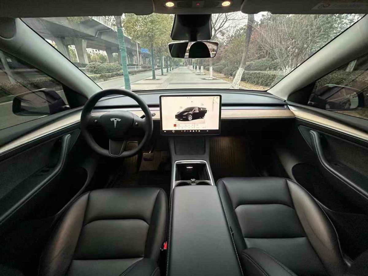 特斯拉 Model 3  2022款 Performance高性能全輪驅(qū)動版圖片