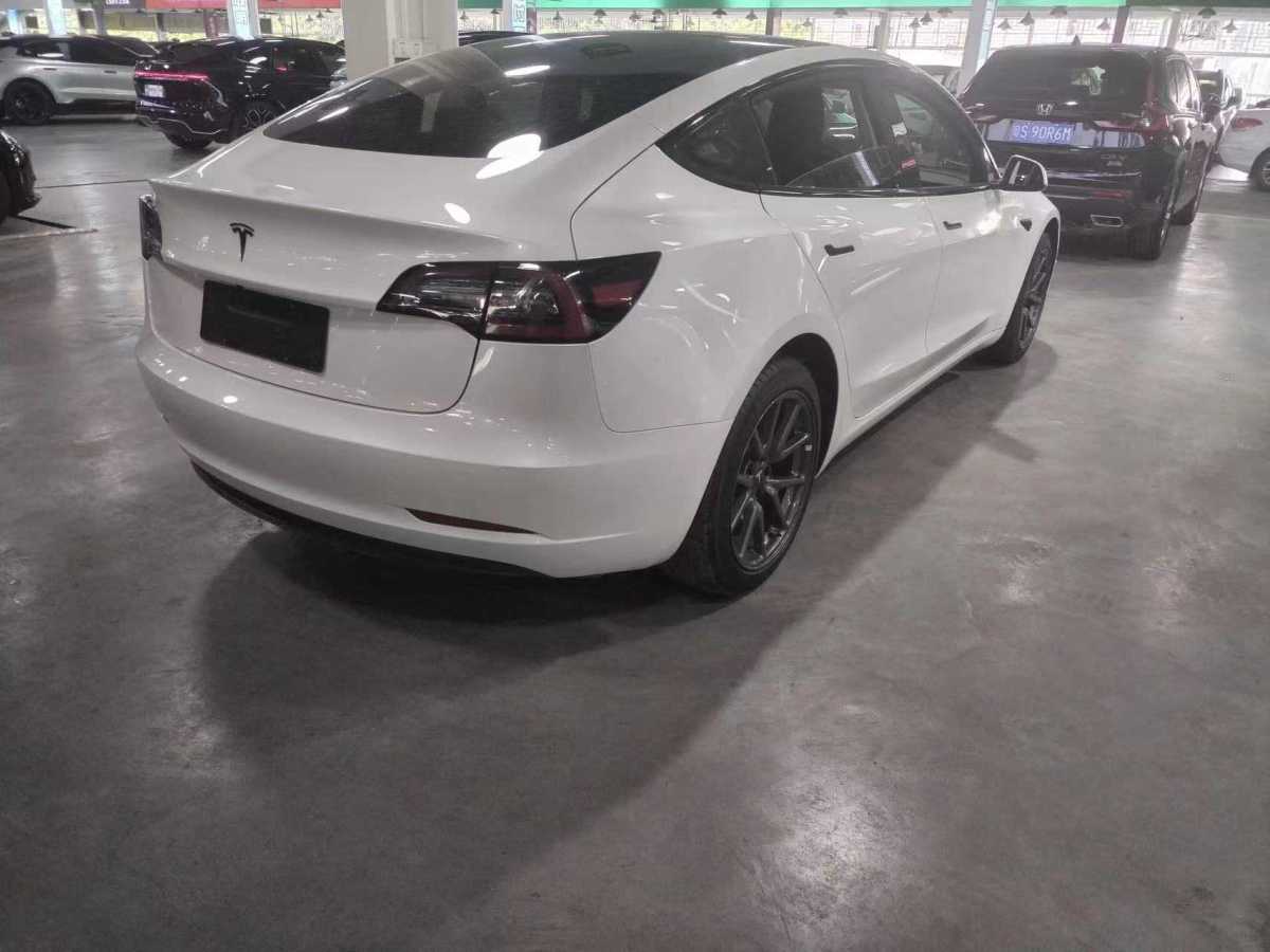 特斯拉 Model 3  2019款 標(biāo)準(zhǔn)續(xù)航后驅(qū)升級版圖片