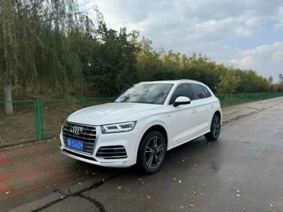 2021年1月 奧迪 Sport 奧迪RS Q8 RS Q8 4.0T圖片